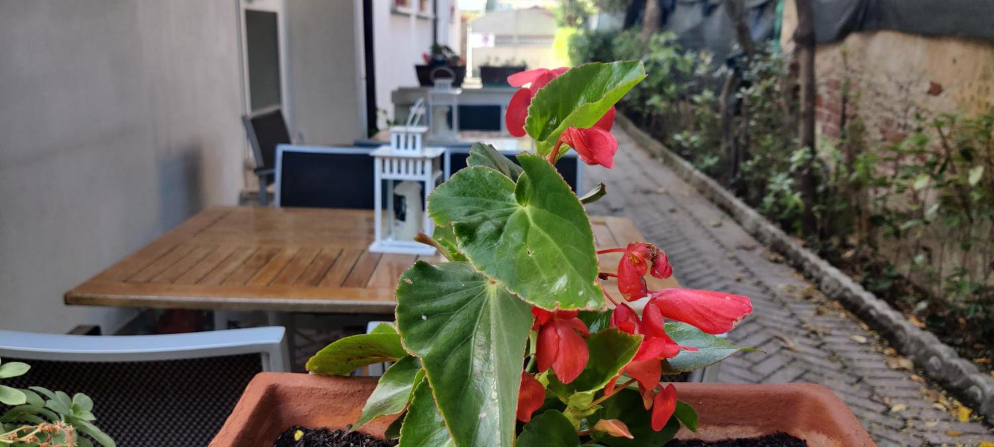 Villa Liberty Versilia Lido di Camaiore Eksteriør billede